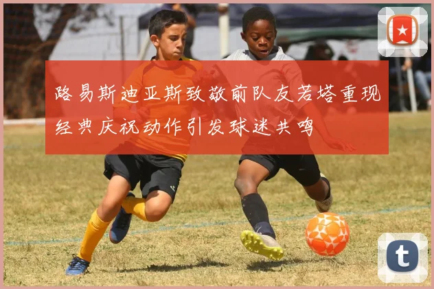 路易斯迪亚斯致敬前队友若塔重现经典庆祝动作引发球迷共鸣