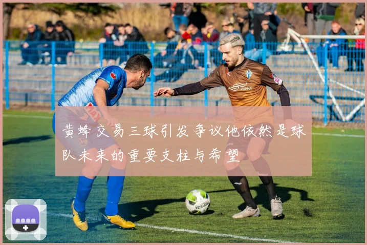 黄蜂交易三球引发争议他依然是球队未来的重要支柱与希望