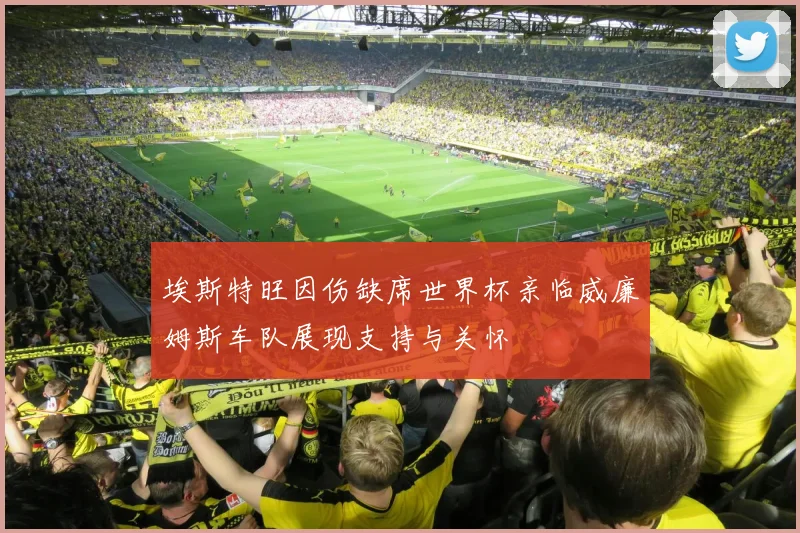 埃斯特旺因伤缺席世界杯亲临威廉姆斯车队展现支持与关怀